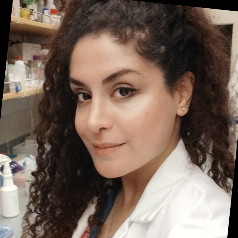 Mahsa Pourhamzeh, PhD